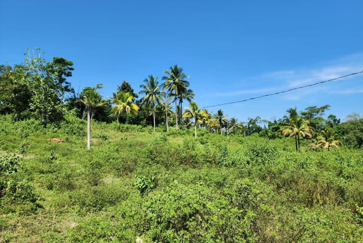 Nineteenth image of 70a Haughton Grove in Haughton Grove, Hanover, Jamaica - property is For Sale