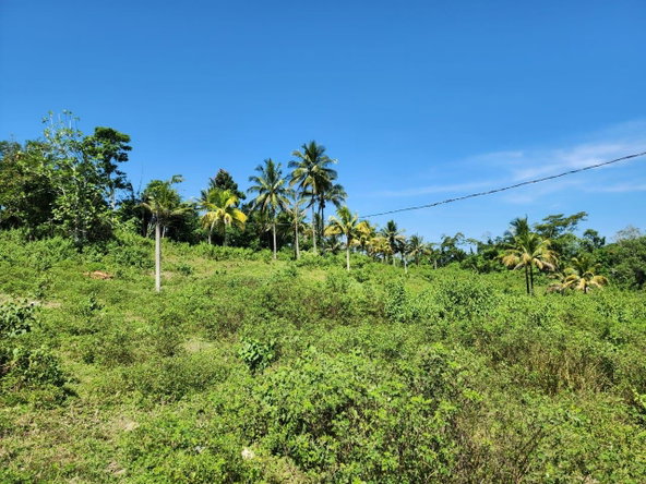 Nineteenth image of 70a Haughton Grove in Haughton Grove, Hanover, Jamaica - property is For Sale