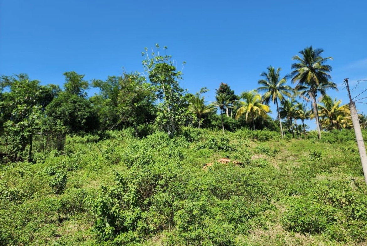 Twentieth image of 70a Haughton Grove in Haughton Grove, Hanover, Jamaica - property is For Sale