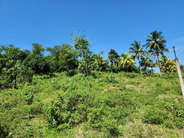 Twentieth image of 70a Haughton Grove in Haughton Grove, Hanover, Jamaica - property is For Sale