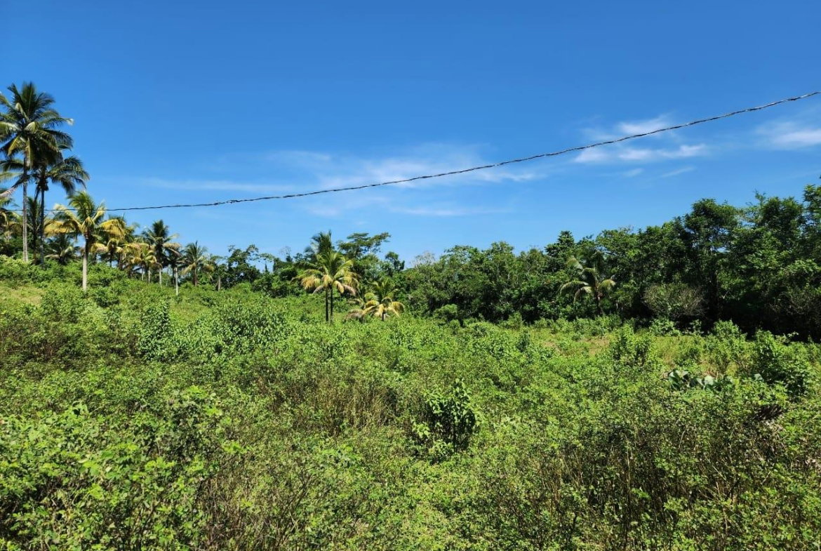 Twenty-First image of 70a Haughton Grove in Haughton Grove, Hanover, Jamaica - property is For Sale