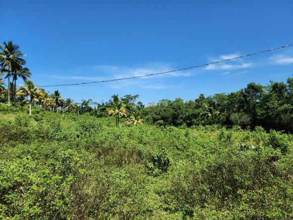 Twenty-First image of 70a Haughton Grove in Haughton Grove, Hanover, Jamaica - property is For Sale