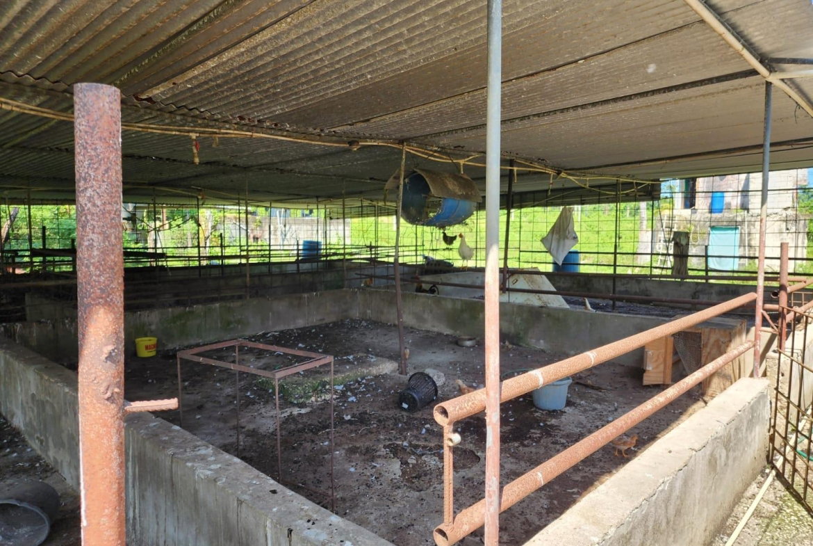 Sixth image of 70a Haughton Grove in Haughton Grove, Hanover, Jamaica - property is For Sale