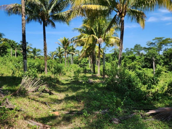 First image of 70a Haughton Grove in Haughton Grove, Hanover, Jamaica - property is For Sale