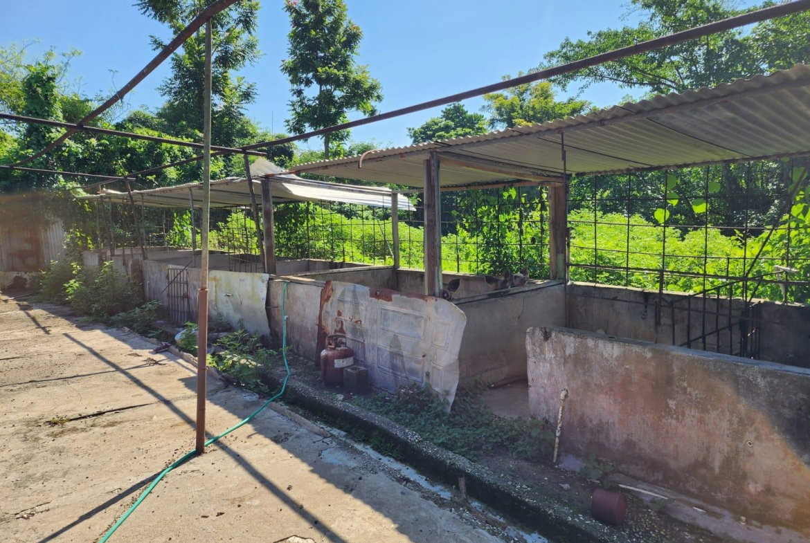 Seventh image of 70a Haughton Grove in Haughton Grove, Hanover, Jamaica - property is For Sale