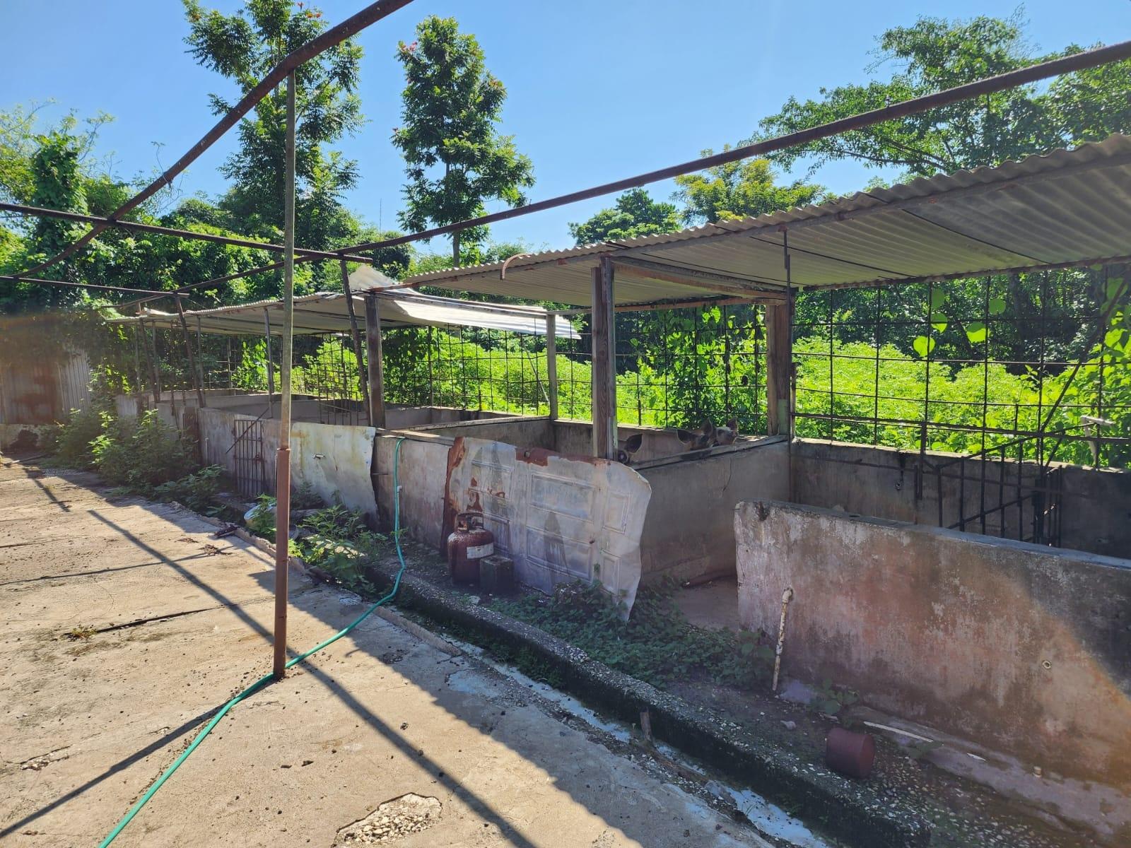 Versatile-Development-Land-for-Sale-in-Haughton-Grove-Hanover-Jamaica Seventh image of 70a Haughton Grove in Haughton Grove, Hanover, Jamaica - property is For Sale