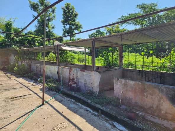 Seventh image of 70a Haughton Grove in Haughton Grove, Hanover, Jamaica - property is For Sale