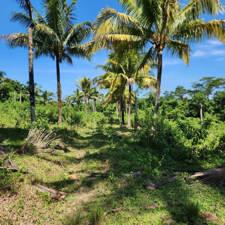 First image of 70a Haughton Grove in Haughton Grove, Hanover, Jamaica - property is For Sale