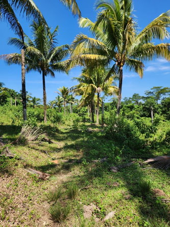 First image of 70a Haughton Grove in Haughton Grove, Hanover, Jamaica - property is For Sale