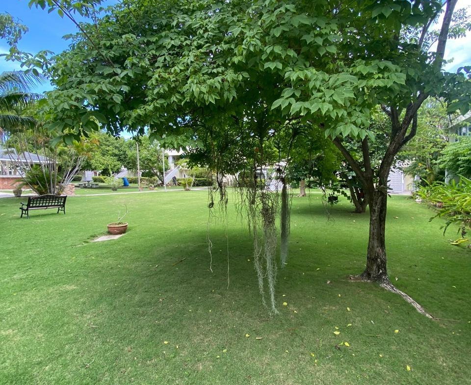 Twelfth image of C102-seawind Sunset dr in Montego Bay, St. James, Jamaica - property is For Rent