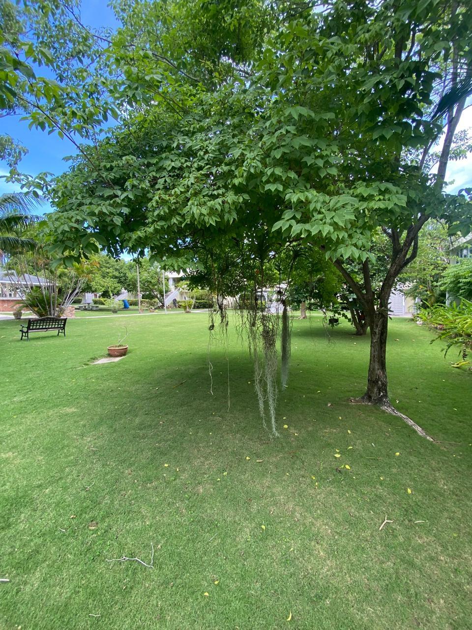Twelfth image of C102-seawind Sunset dr in Montego Bay, St. James, Jamaica - property is For Rent