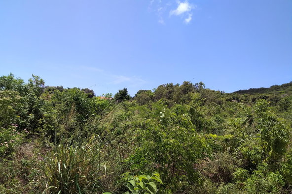 Second image of Chocolate Hole, Essex Val in Junction, St. Elizabeth, Jamaica - property is For Sale
