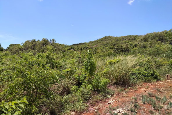 Third image of Chocolate Hole, Essex Val in Junction, St. Elizabeth, Jamaica - property is For Sale