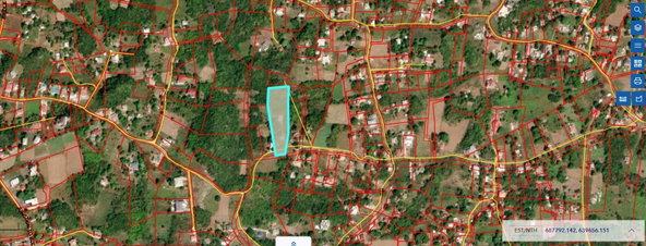 Fifth image of Chocolate Hole, Essex Val in Junction, St. Elizabeth, Jamaica - property is For Sale