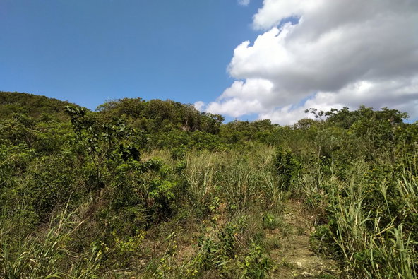 First image of Chocolate Hole, Essex Val in Junction, St. Elizabeth, Jamaica - property is For Sale