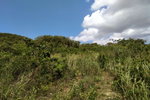 First image of Chocolate Hole, Essex Val in Junction, St. Elizabeth, Jamaica - property is For Sale