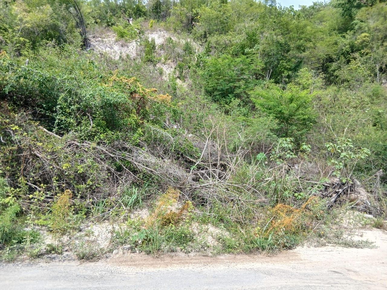 Third image of Block D-lot 124 Blue Mountain Road in Albion, St. Thomas, Jamaica - property is For Sale