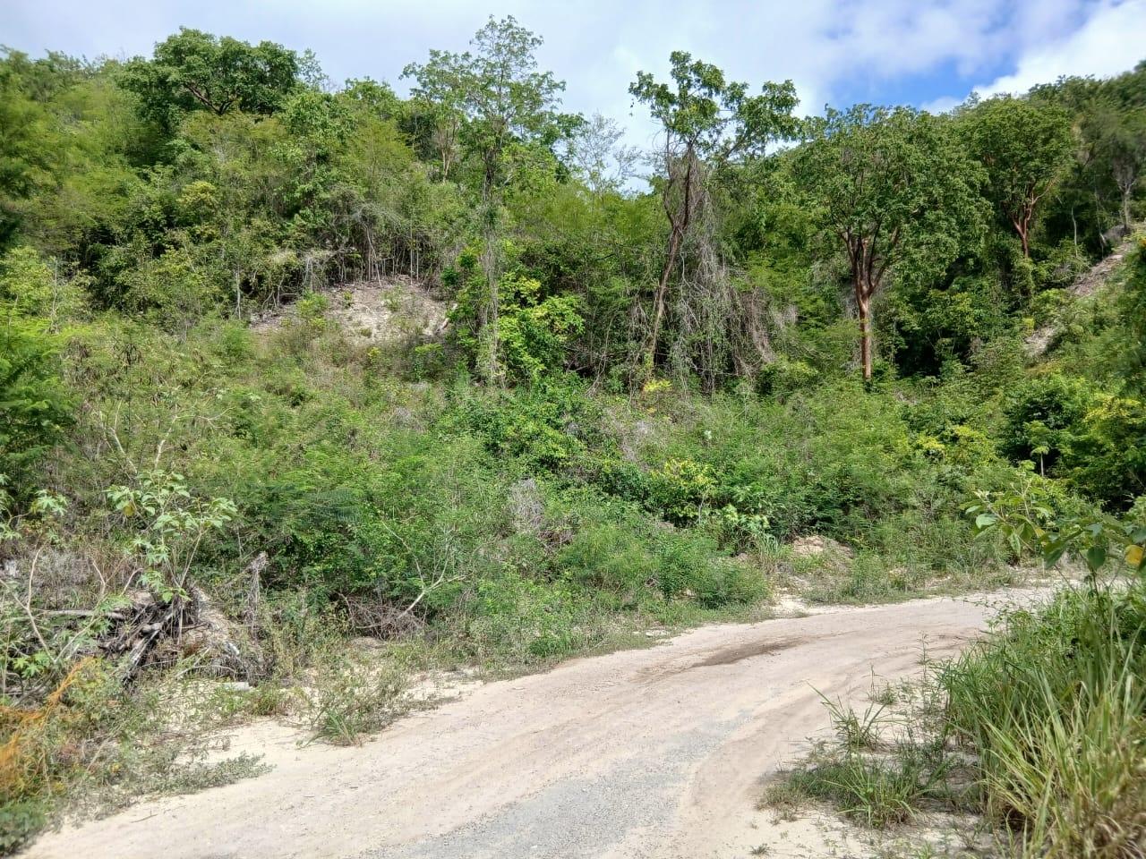 Fourth image of Block D-lot 124 Blue Mountain Road in Albion, St. Thomas, Jamaica - property is For Sale