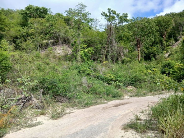 Fourth image of Block D-lot 124 Blue Mountain Road in Albion, St. Thomas, Jamaica - property is For Sale