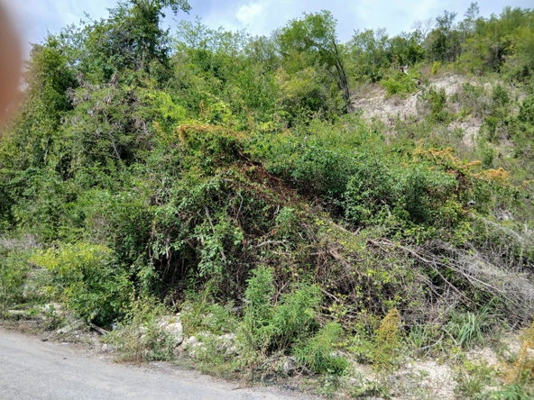 Fifth image of Block D-lot 124 Blue Mountain Road in Albion, St. Thomas, Jamaica - property is For Sale