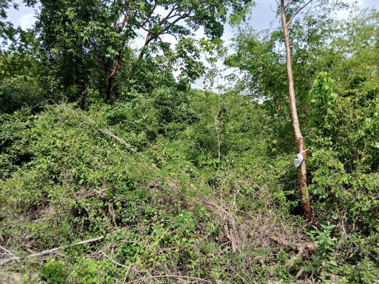 Sixth image of Block D-lot 124 Blue Mountain Road in Albion, St. Thomas, Jamaica - property is For Sale