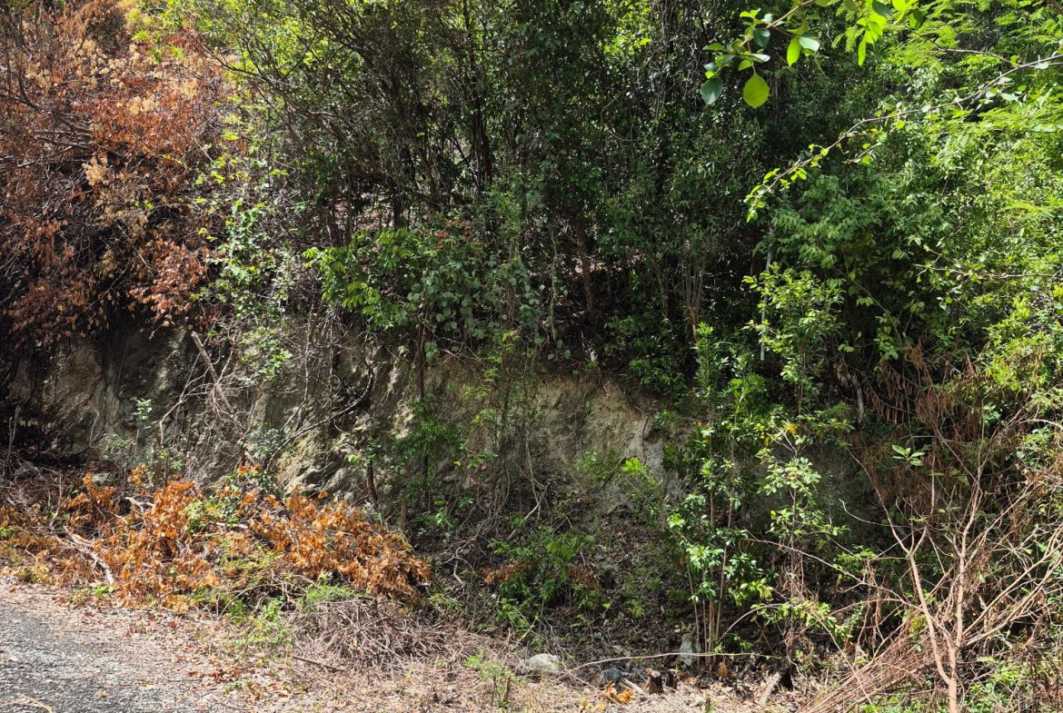 Fourth image of Block D-lot 122 Albion Heights Boulevard in Albion, St. Thomas, Jamaica - property is For Sale