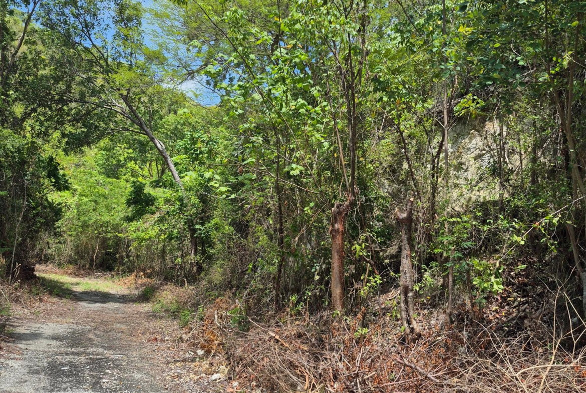Fifth image of Block D-lot 122 Albion Heights Boulevard in Albion, St. Thomas, Jamaica - property is For Sale