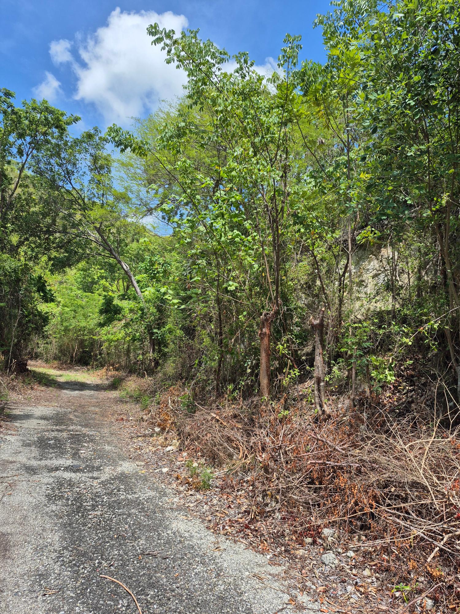 Fifth image of Block D-lot 122 Albion Heights Boulevard in Albion, St. Thomas, Jamaica - property is For Sale
