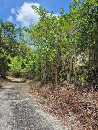 Fifth image of Block D-lot 122 Albion Heights Boulevard in Albion, St. Thomas, Jamaica - property is For Sale