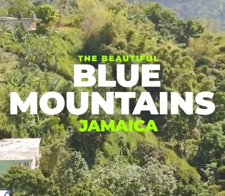Second image of Blue Mountain, New Gardens in Stony Hill P.O., St. Andrew, Jamaica - property is For Sale