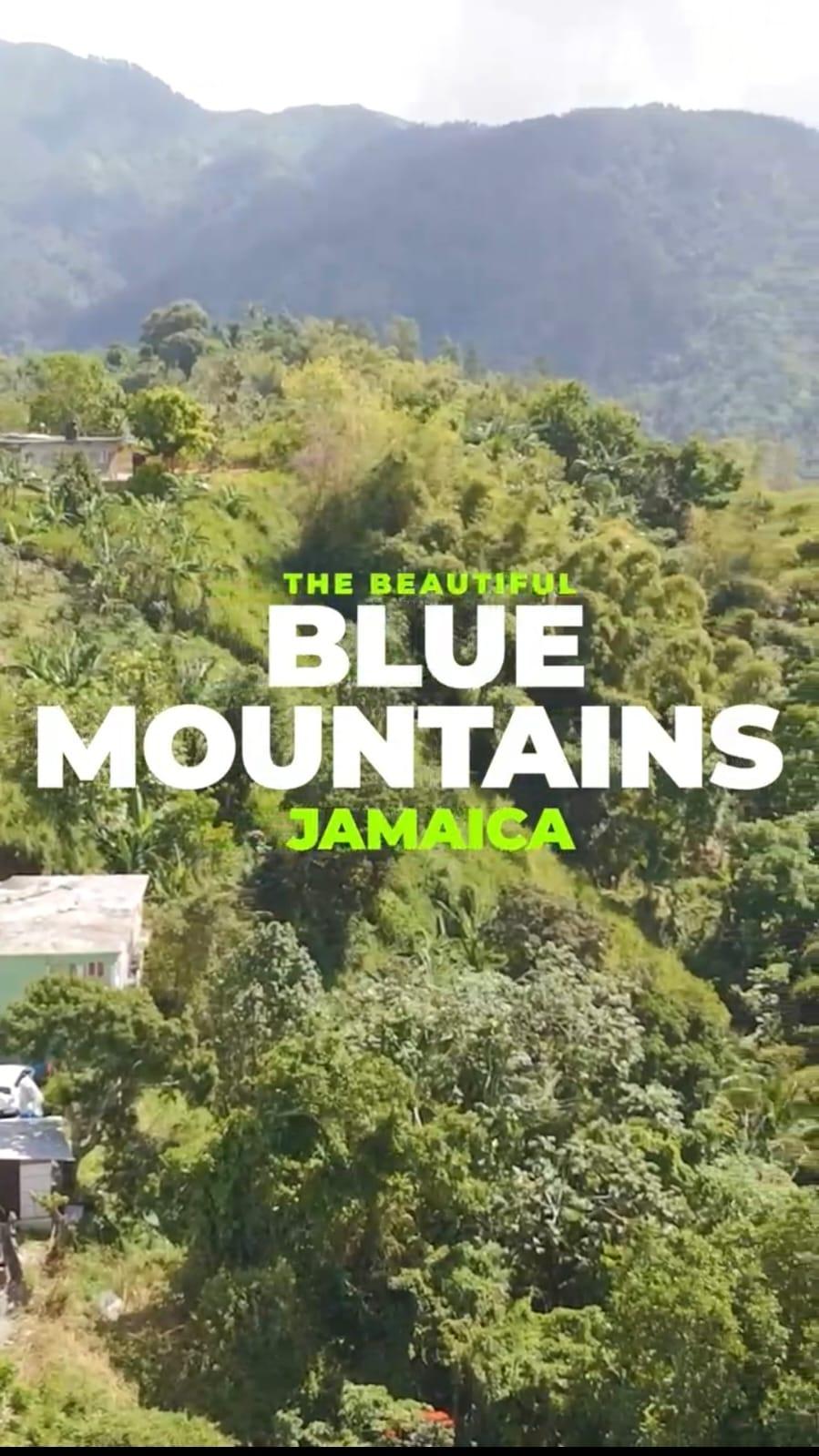 13-Acres-of-Prime-Blue-Mountain-Land-for-Sale-in-New-Gardens-St.-Andrew-Jamaica Second image of Blue Mountain, New Gardens in Stony Hill P.O., St. Andrew, Jamaica - property is For Sale