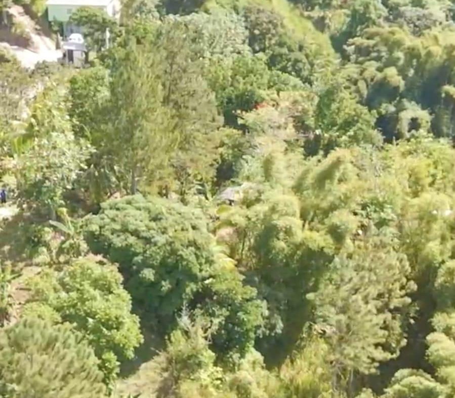 Third image of Blue Mountain, New Gardens in Stony Hill P.O., St. Andrew, Jamaica - property is For Sale
