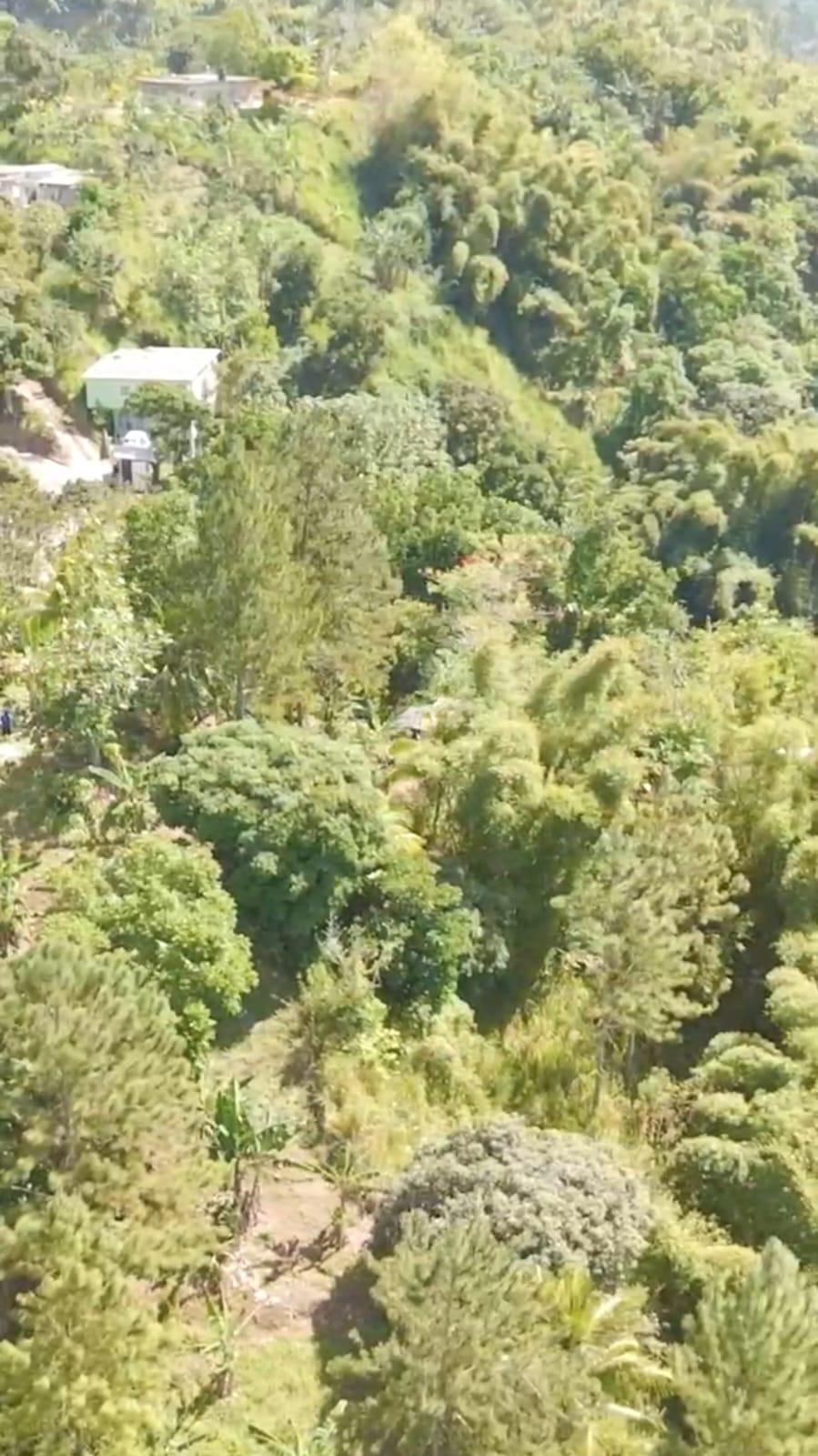 13-Acres-of-Prime-Blue-Mountain-Land-for-Sale-in-New-Gardens-St.-Andrew-Jamaica Third image of Blue Mountain, New Gardens in Stony Hill P.O., St. Andrew, Jamaica - property is For Sale
