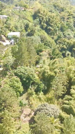 Third image of Blue Mountain, New Gardens in Stony Hill P.O., St. Andrew, Jamaica - property is For Sale