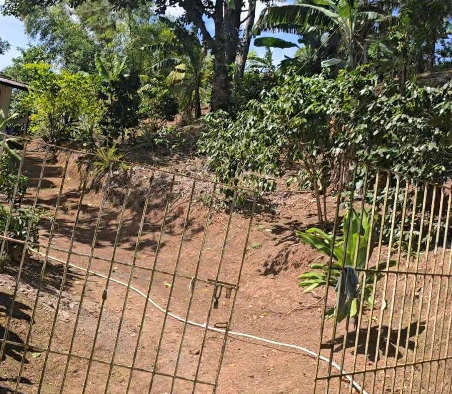 Eighth image of Blue Mountain, New Gardens in Stony Hill P.O., St. Andrew, Jamaica - property is For Sale