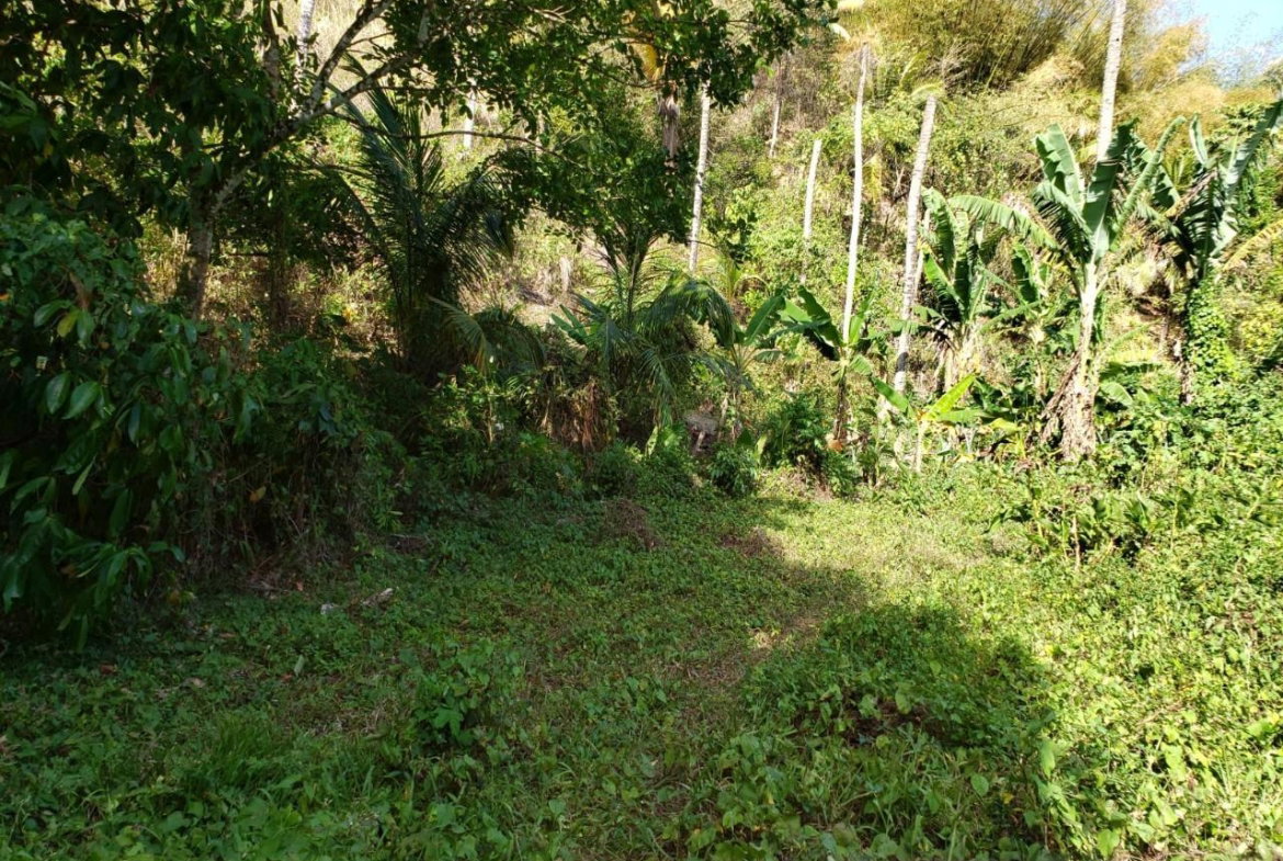 Third image of Lot Ab&c- Rhine Bath st Thomas in Bath, St. Thomas, Jamaica - property is For Sale