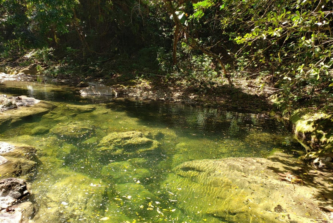 Fourth image of Lot Ab&c- Rhine Bath st Thomas in Bath, St. Thomas, Jamaica - property is For Sale