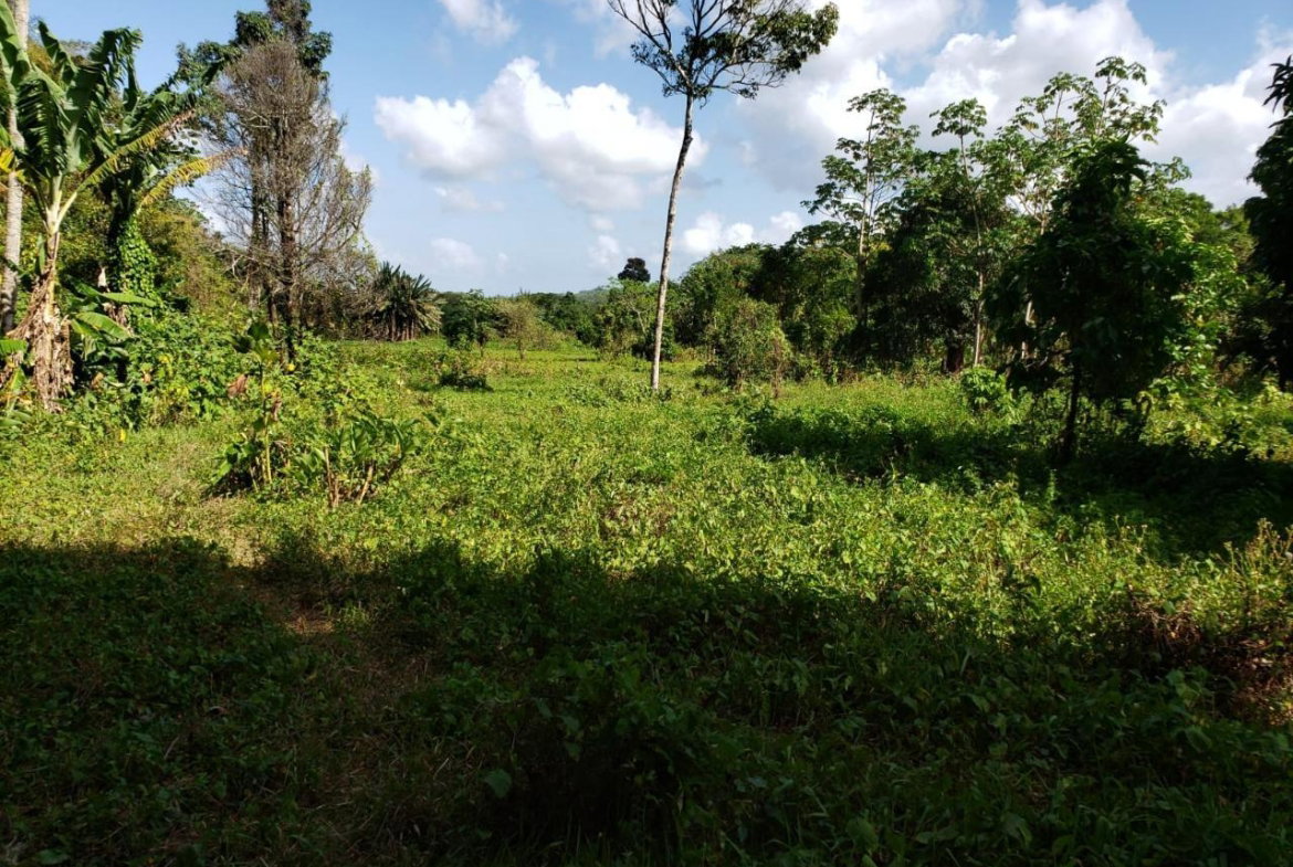 Fifth image of Lot Ab&c- Rhine Bath st Thomas in Bath, St. Thomas, Jamaica - property is For Sale