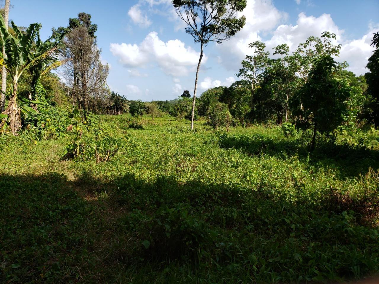 Seventh image of Lot Ab&c- Rhine Bath st Thomas in Bath, St. Thomas, Jamaica - property is For Sale