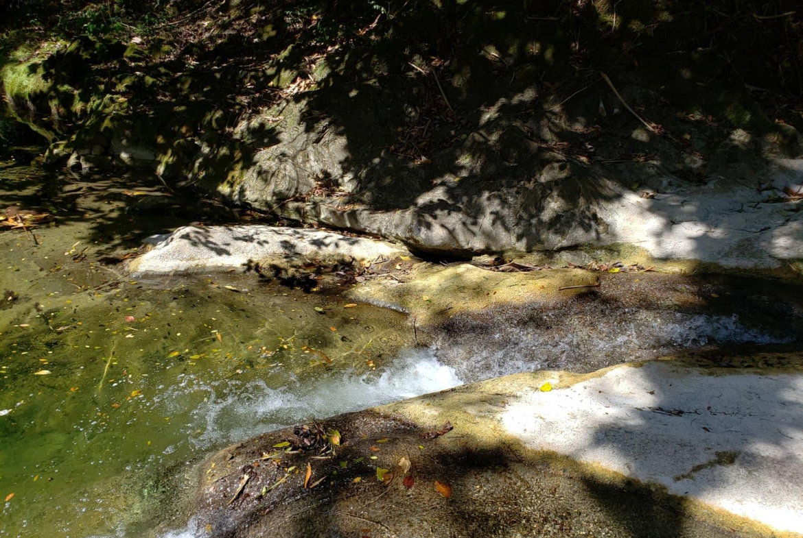 Eighth image of Lot Ab&c- Rhine Bath st Thomas in Bath, St. Thomas, Jamaica - property is For Sale