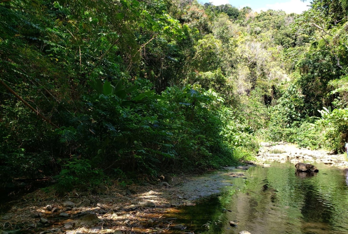 Tenth image of Lot Ab&c- Rhine Bath st Thomas in Bath, St. Thomas, Jamaica - property is For Sale