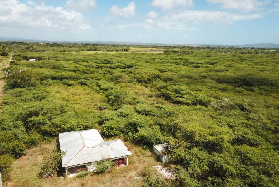 Twelfth image of Fort Simonds,vernam Field in Milk River, Clarendon, Jamaica - property is For Sale