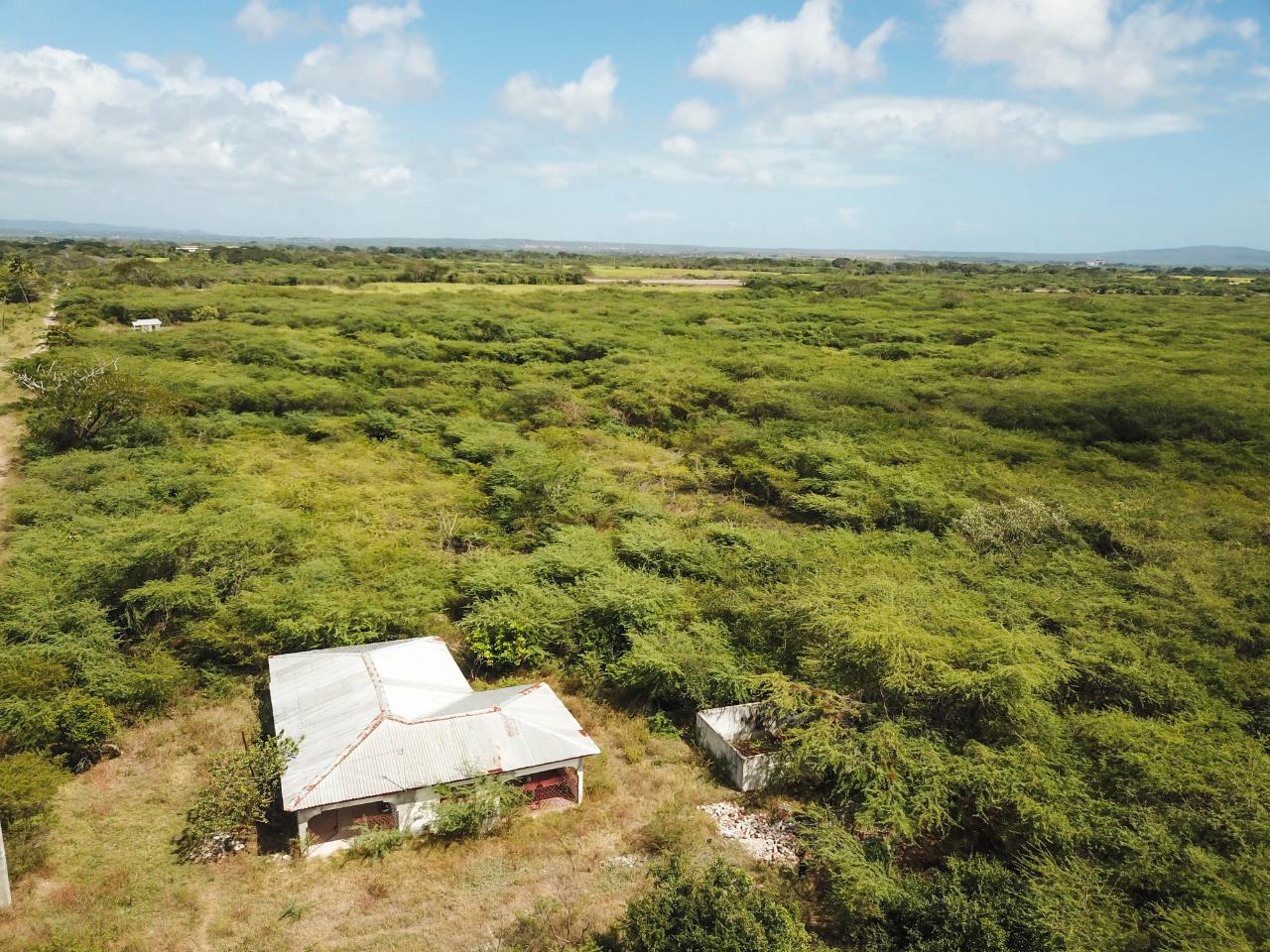 Fourteenth image of Fort Simonds,vernam Field in Milk River, Clarendon, Jamaica - property is For Sale