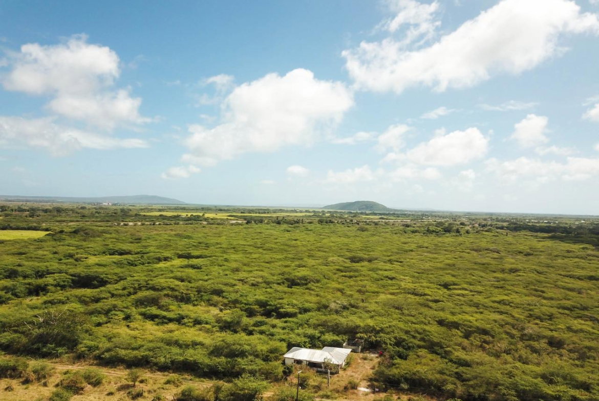 Sixteenth image of Fort Simonds,vernam Field in Milk River, Clarendon, Jamaica - property is For Sale