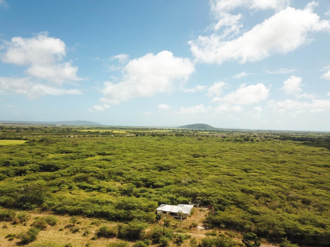 Twentieth image of Fort Simonds,vernam Field in Milk River, Clarendon, Jamaica - property is For Sale