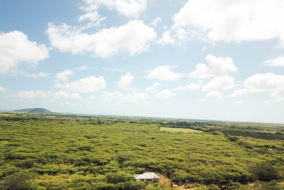 Twenty-Second image of Fort Simonds,vernam Field in Milk River, Clarendon, Jamaica - property is For Sale