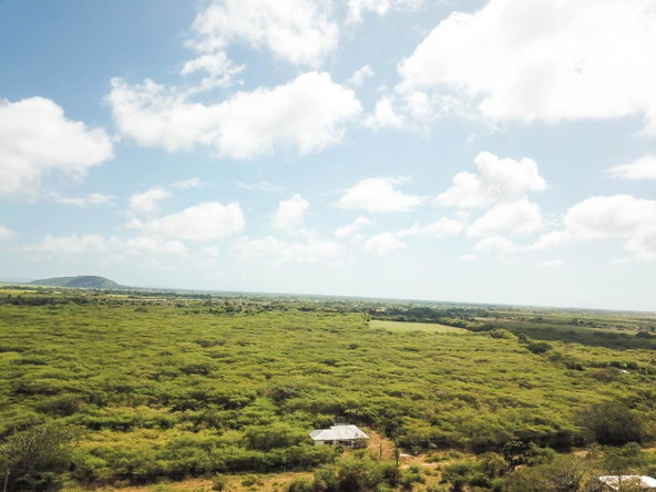 Twenty-Third image of Fort Simonds,vernam Field in Milk River, Clarendon, Jamaica - property is For Sale