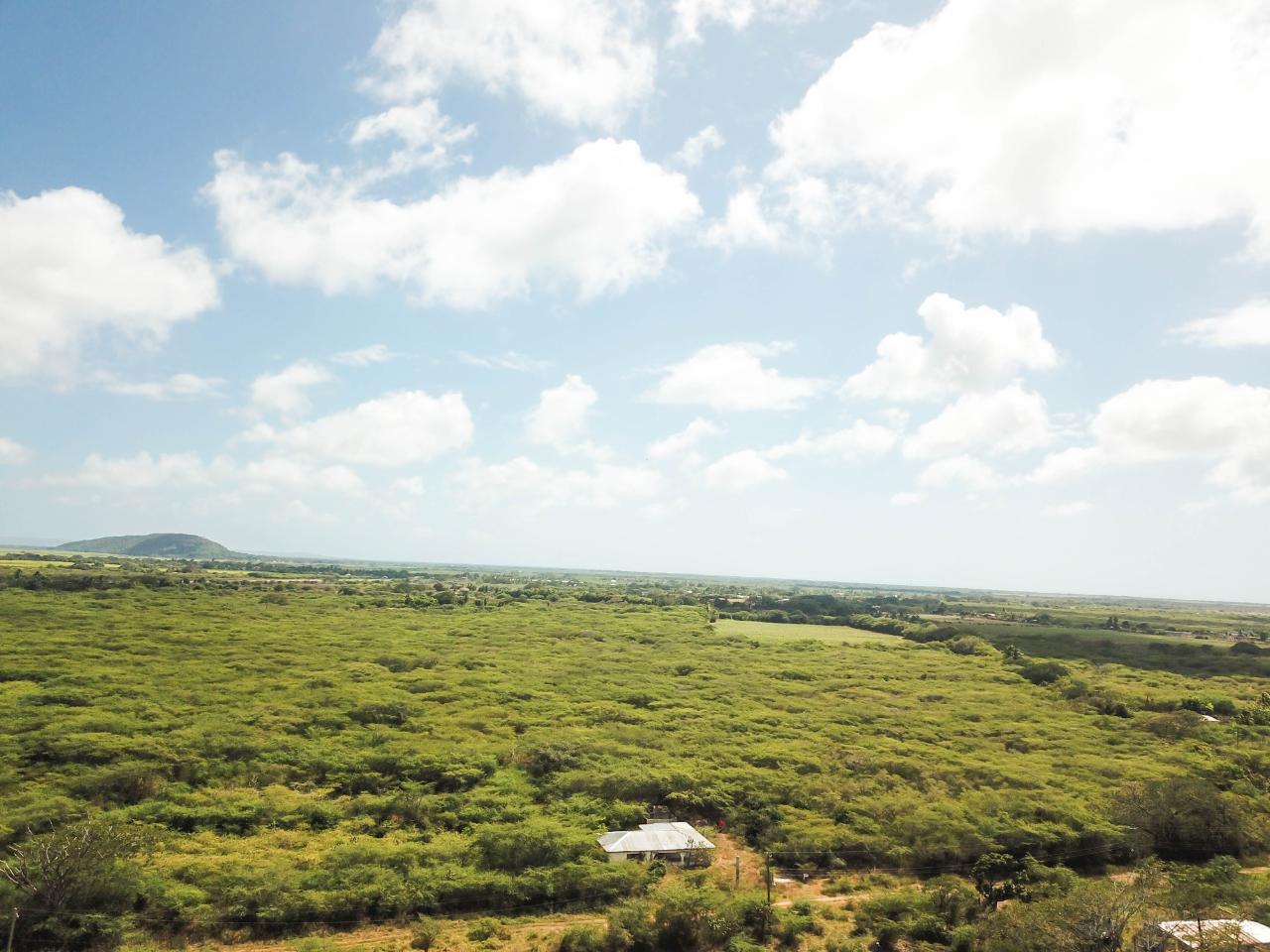 Twenty-Fourth image of Fort Simonds,vernam Field in Milk River, Clarendon, Jamaica - property is For Sale