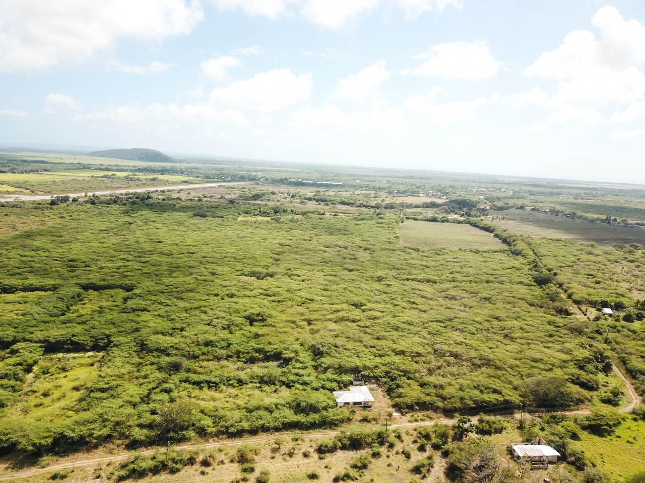 Thirtieth image of Fort Simonds,vernam Field in Milk River, Clarendon, Jamaica - property is For Sale