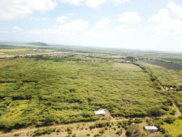 Thirtieth image of Fort Simonds,vernam Field in Milk River, Clarendon, Jamaica - property is For Sale